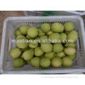 /msite/products/detail/productid/54855560/id/542998.html